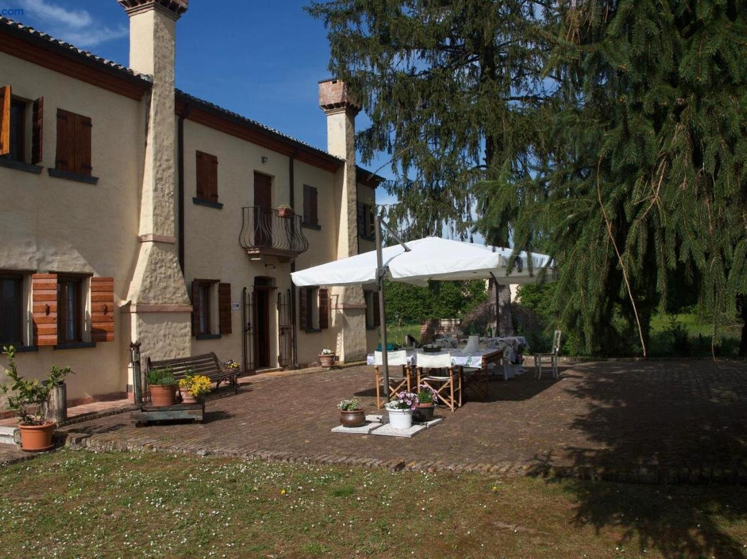 B&B Fetonte