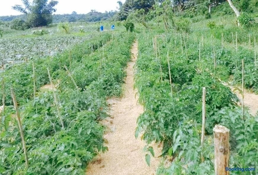 TGE Resort and Farmhouse