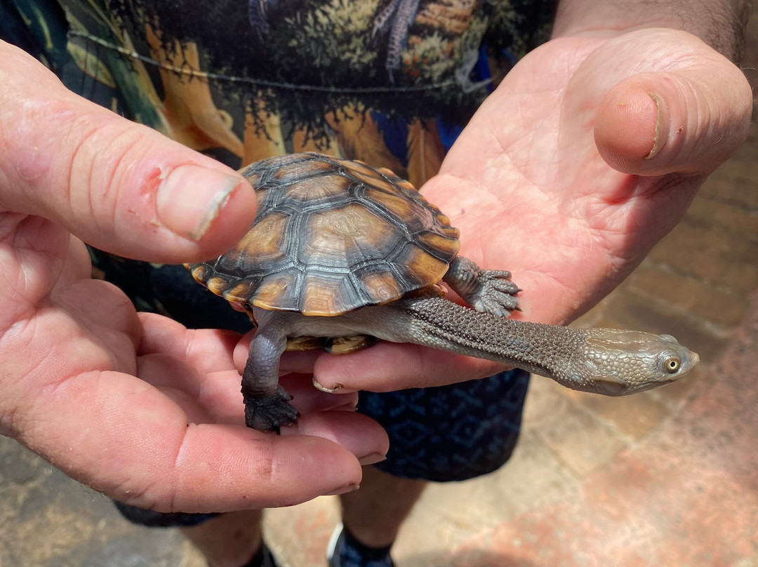 Port Stephens Animal Adventures景点图片