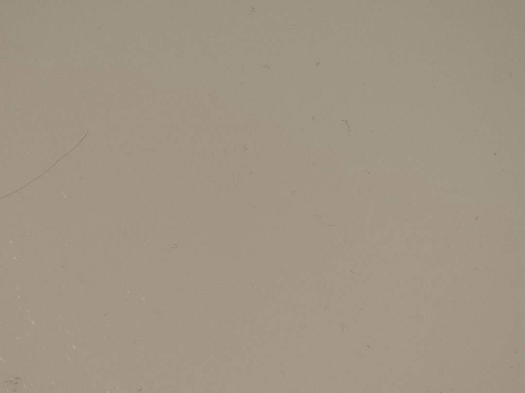 Hilton Garden Inn Longmont主图