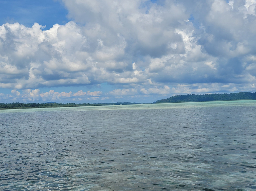 Dolphin Resort主图