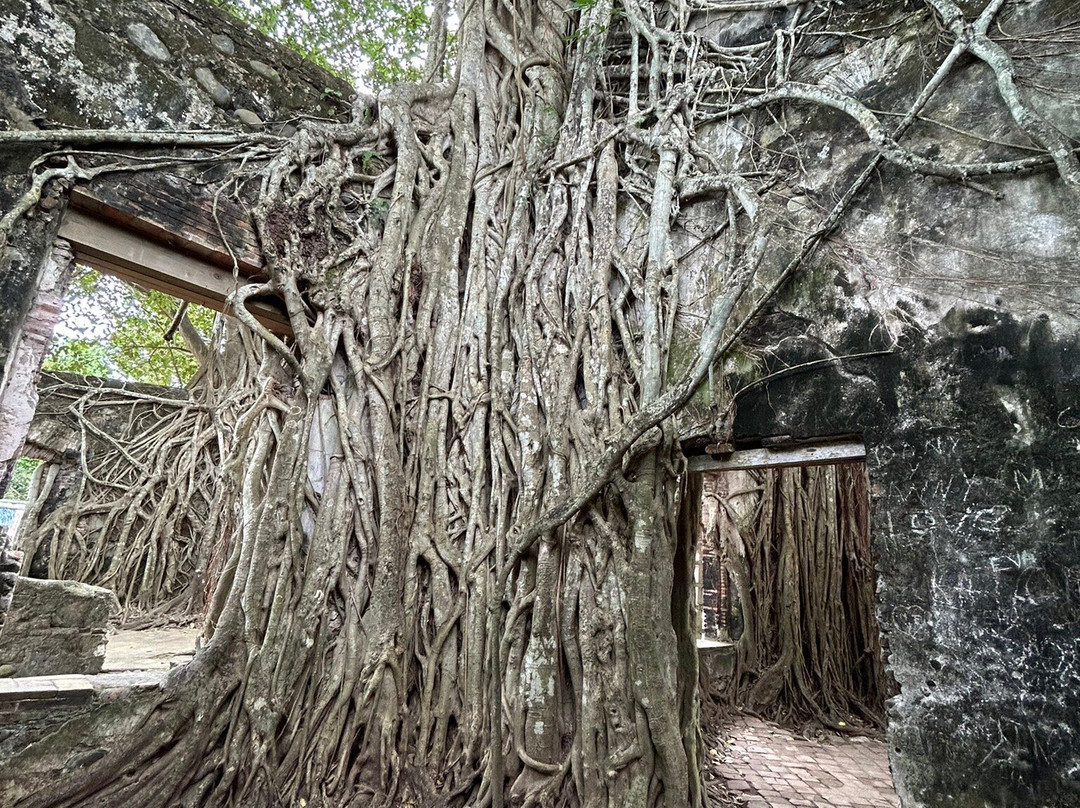 Casa de Hernan Cortes景点图片