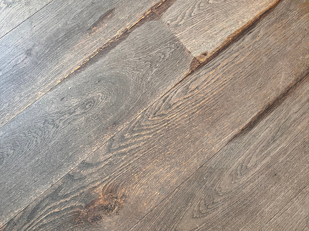 One Shot Reina Victoria主图