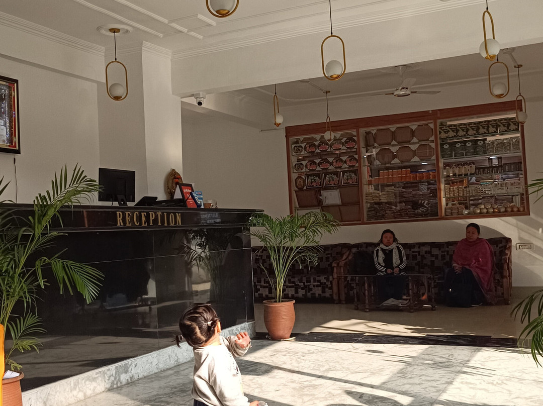 Hotel Maha Luxmi Palace主图