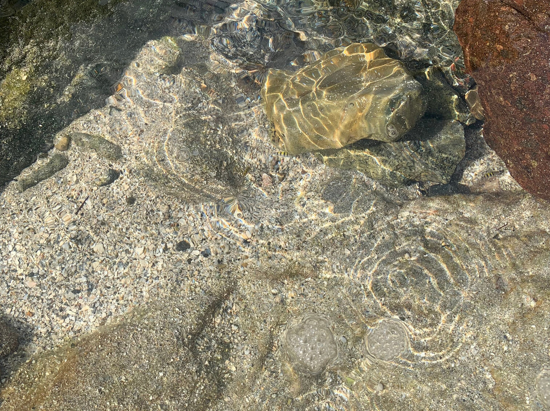 Divi Beach-Sint Maarten必去景点