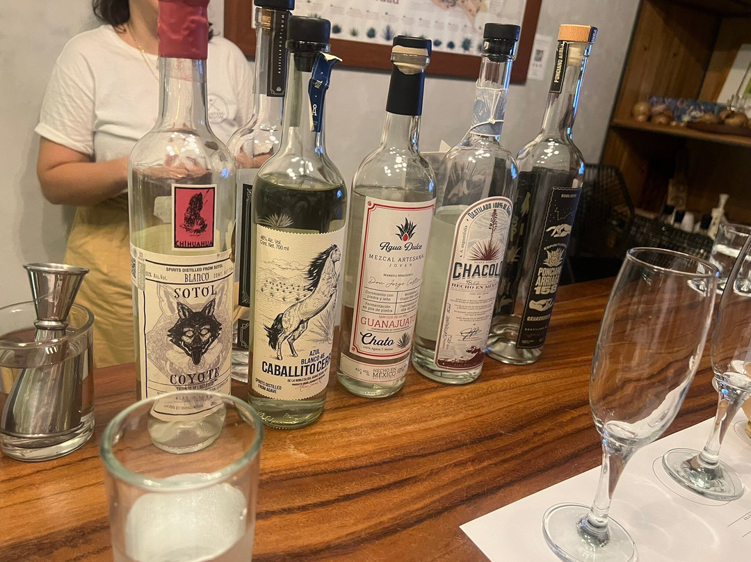 El Tasting Room-瓦拉塔港必去景点