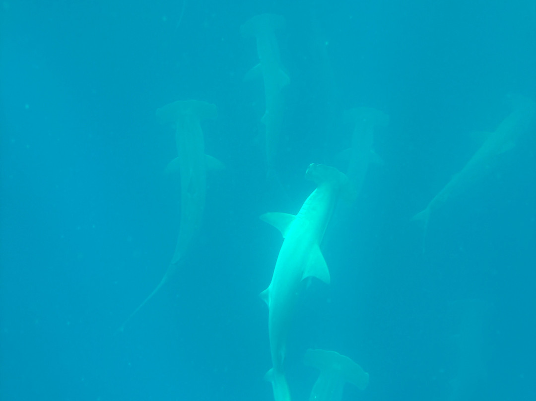 Islanders Galapagos Tour Agency and Operator-Puerto Baquerizo Moreno必去景点