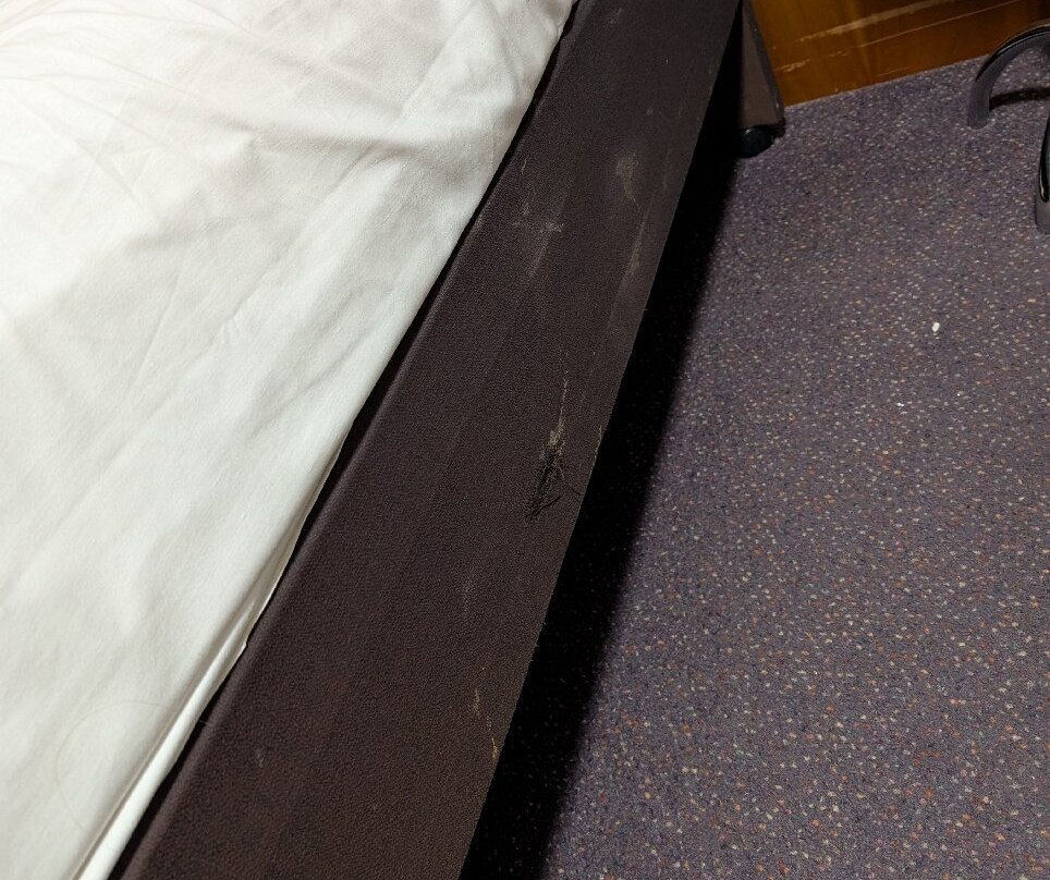Plaza Hotel, Sure Collection by Best Western, Chorley, Preston主图