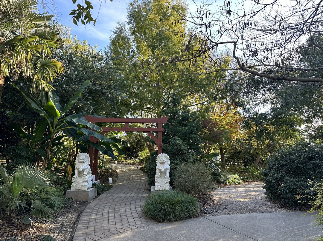 JC Raulston Arboretum at NC State University景点图片