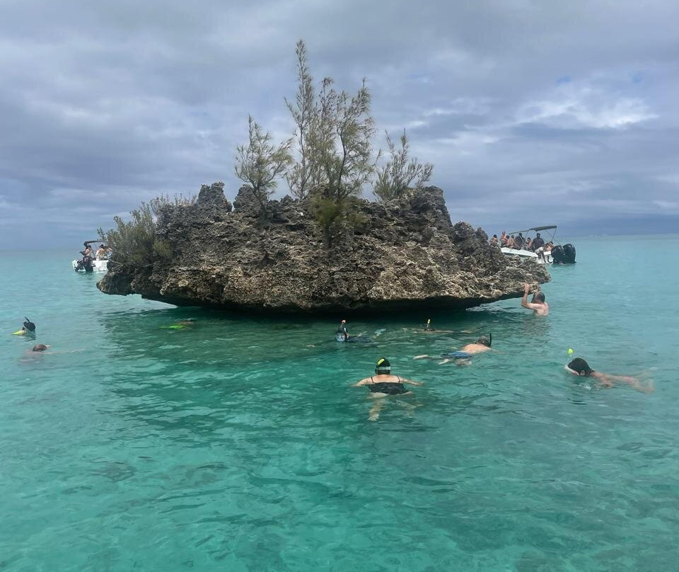 Dodo Spirit-大湾必去景点