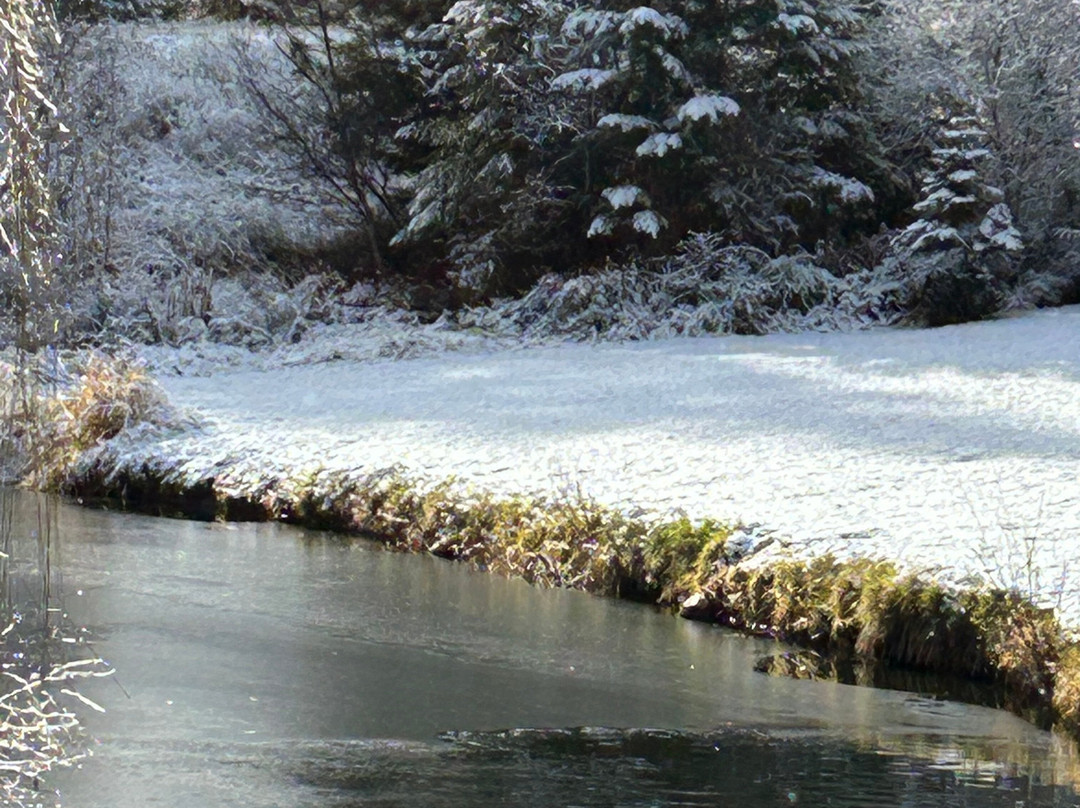 The Riverfront Motel & Cabins主图