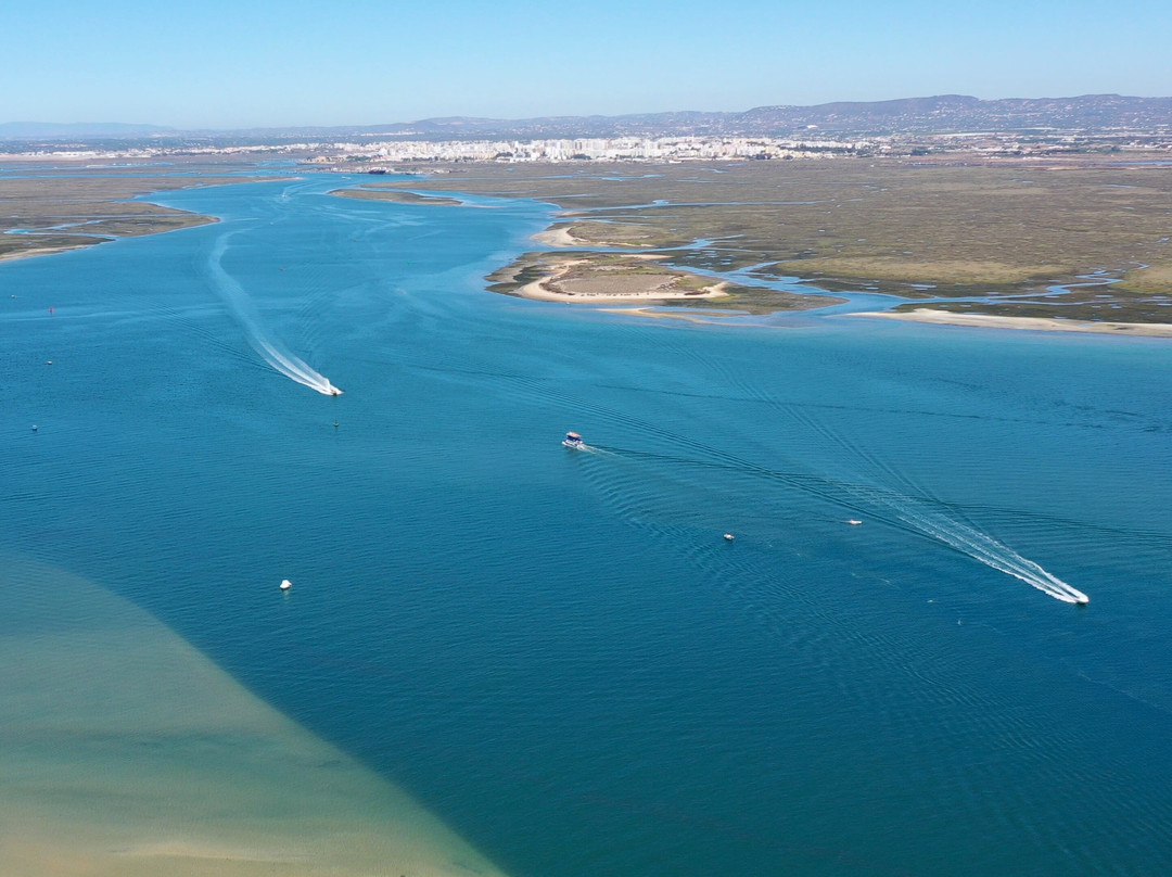 ODYSSEY - Ria Formosa Boat Tours景点图片