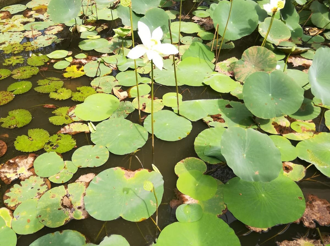 Ranna 212 Beach Resort主图