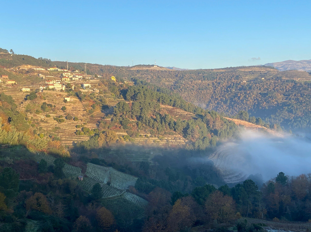 MW Douro Wine & Spa主图