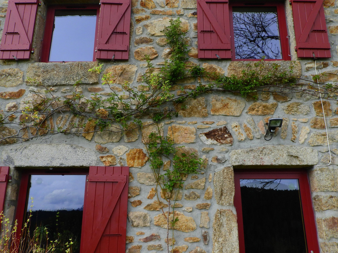 Les Herbes Sauvages主图