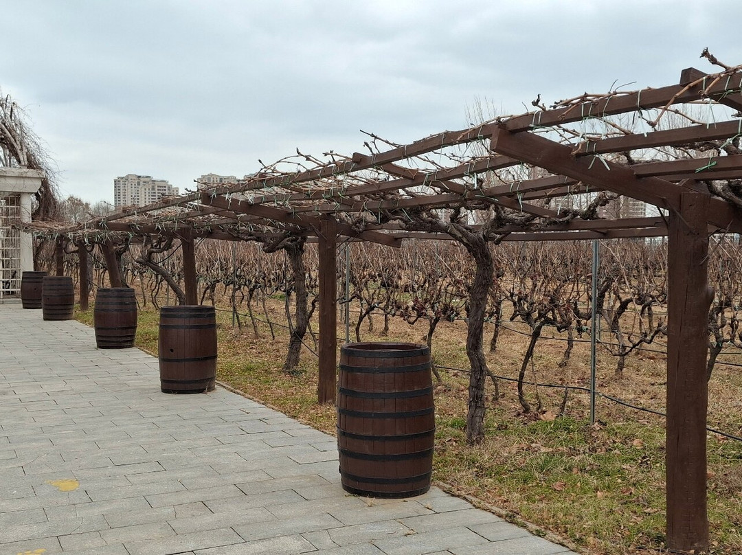 张裕国际葡萄酒城-烟台市必去景点