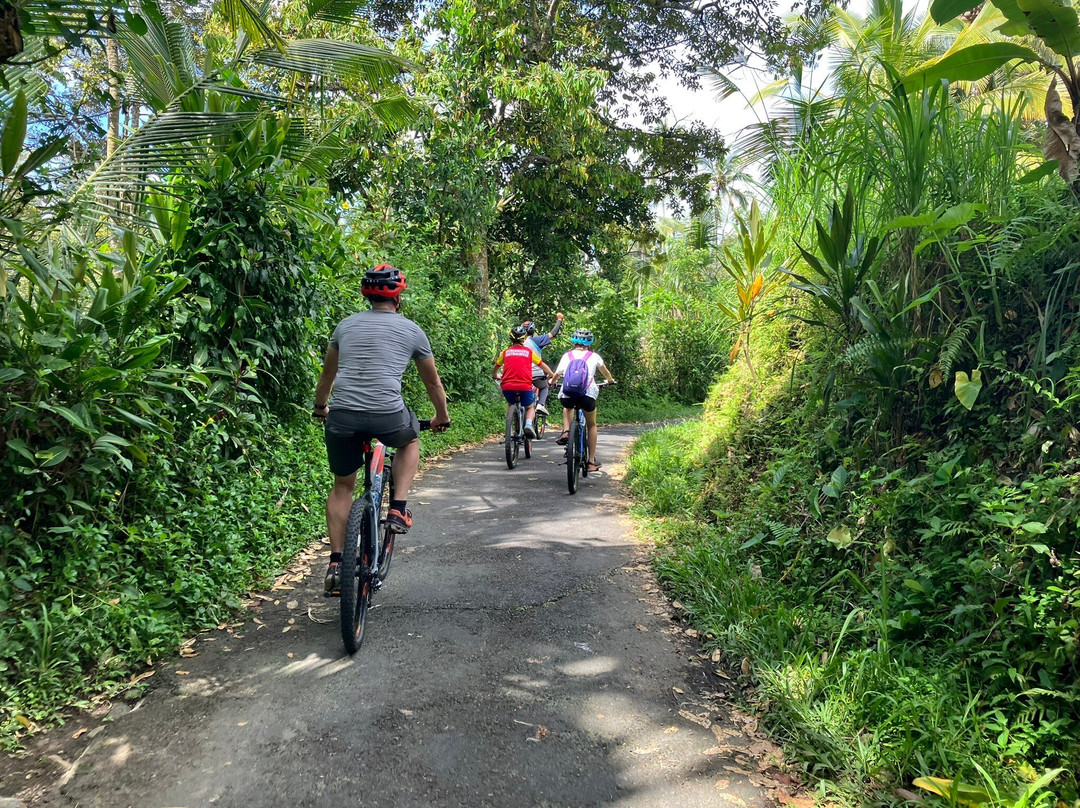 Bali 2000 Cycling - Day Tours景点图片