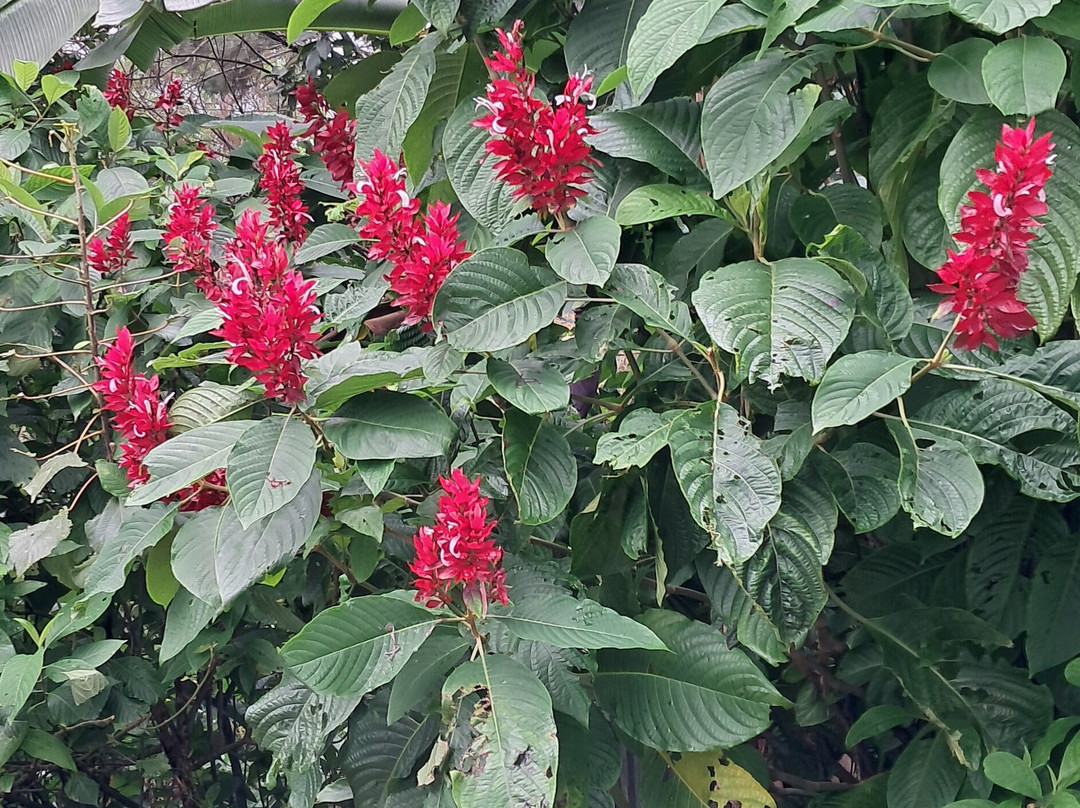 Villa Pinares de Mayari主图