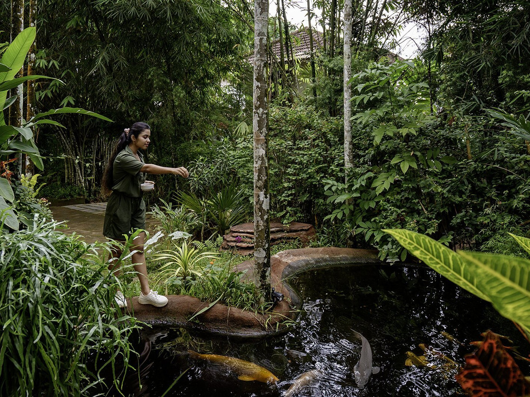 Vistara Resort主图