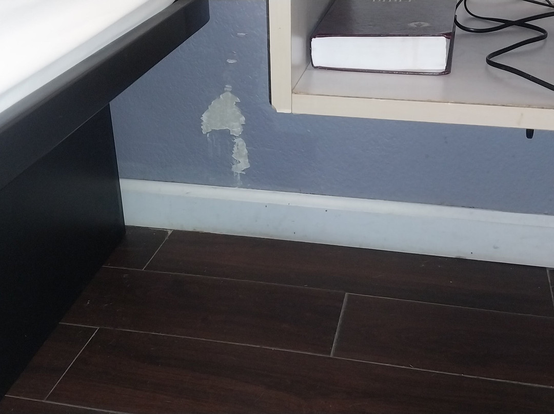 Microtel Inn & Suites by Wyndham Palm Coast主图