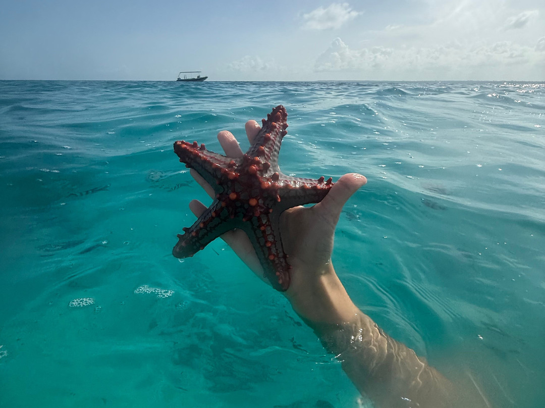 Zerozero sette Zanzibar-Pwani Mchangani必去景点