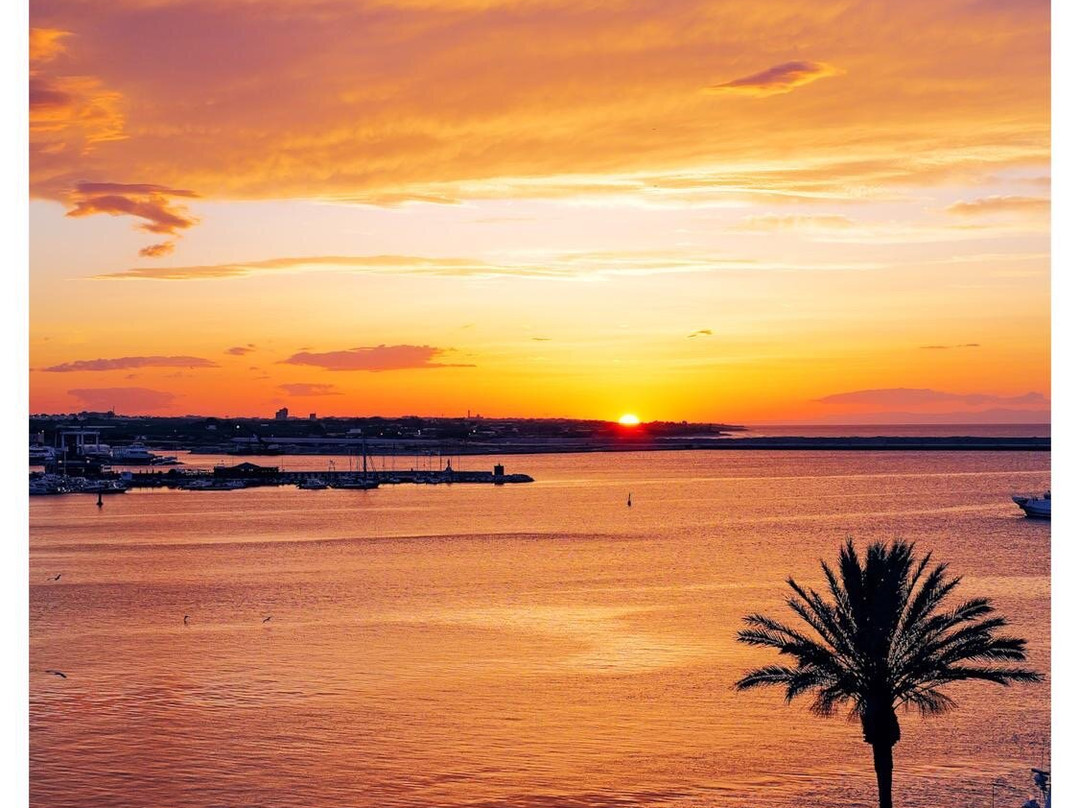 Molfetta Town-莫尔费塔必去景点