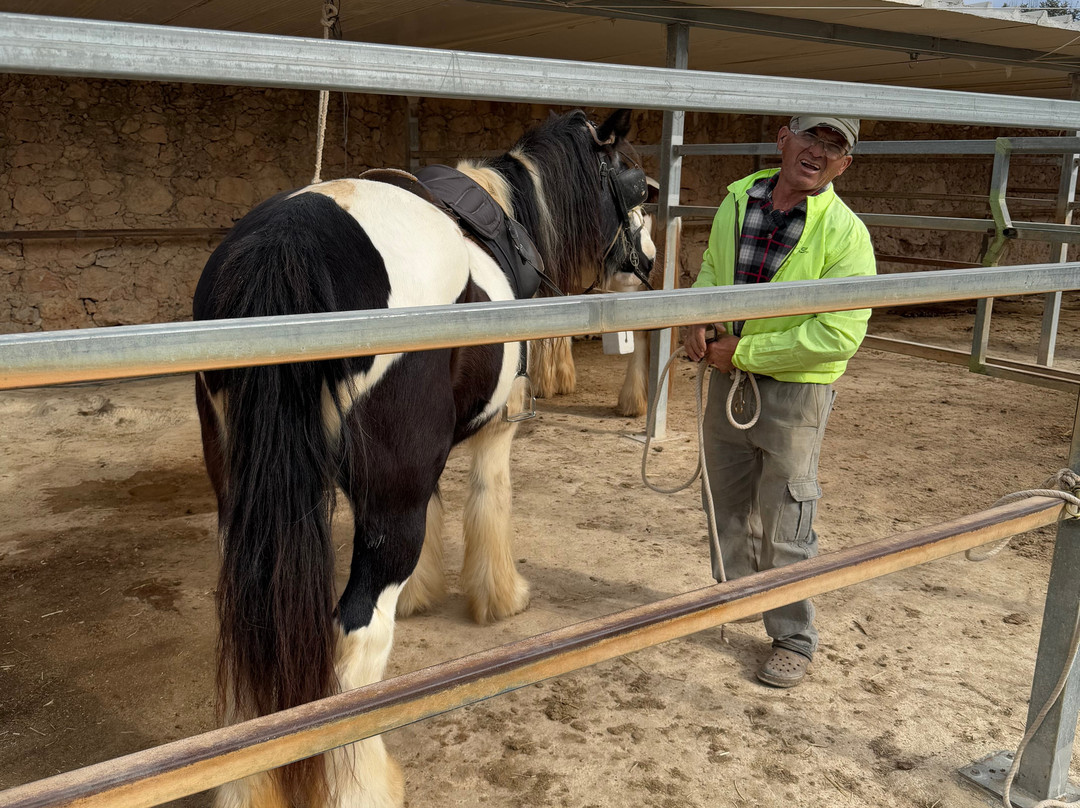Gozo Stables Horse-Riding-Qala必去景点