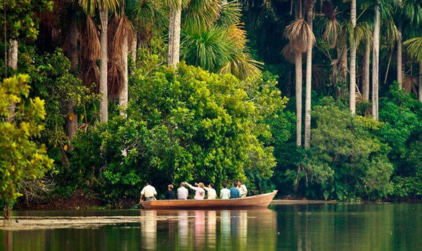 Tambopata Aguti Expedition-Tambopata National Reserve必去景点