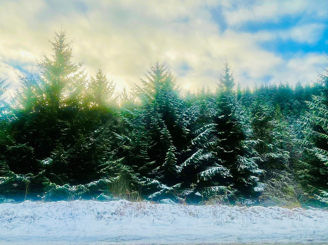 Durris Forest-Banchory必去景点