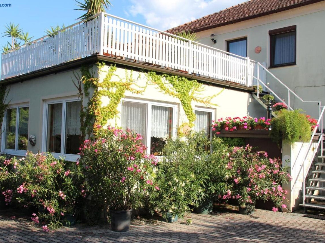 Weingut Pension Sommerhof