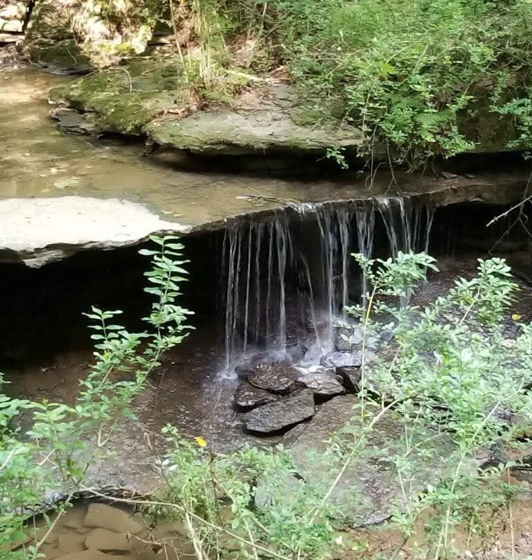 Oglebay Park-Wheeling必去景点
