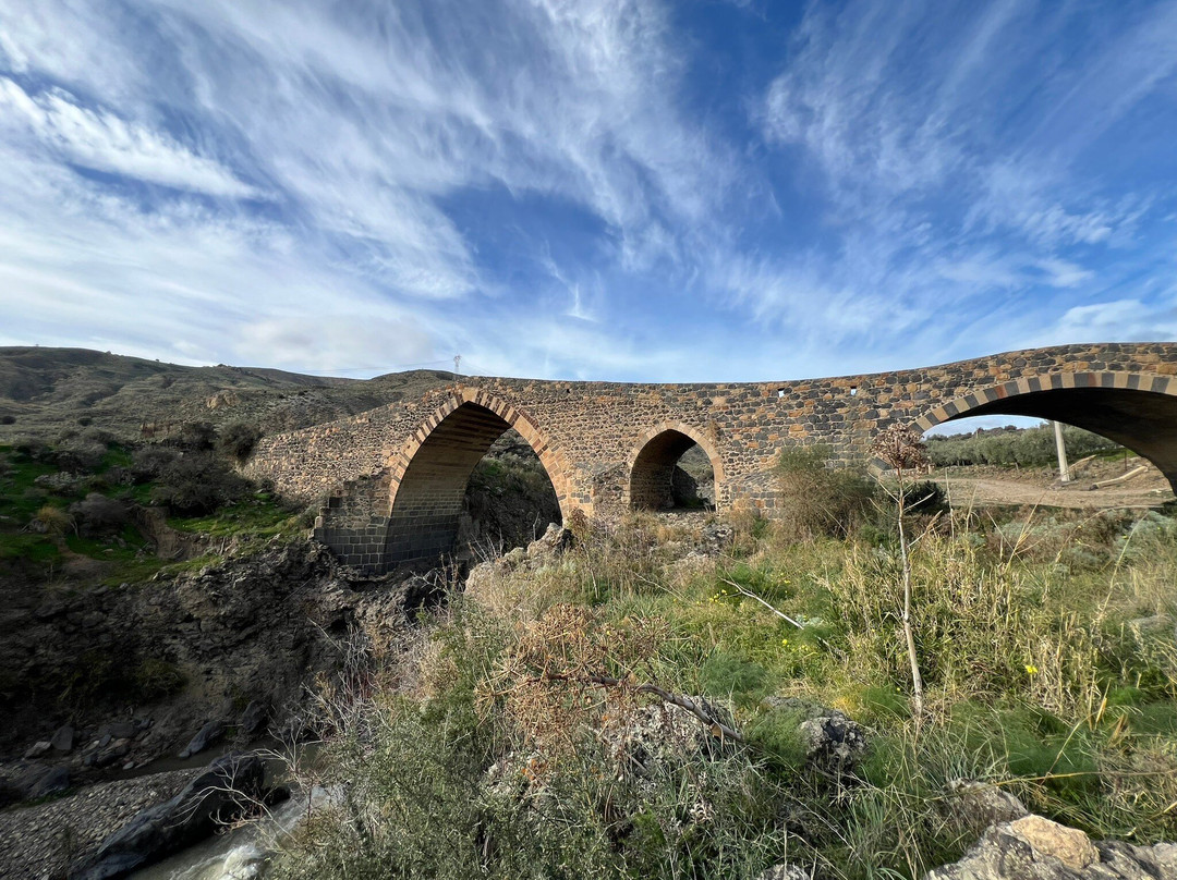 Ponte dei Saraceni景点图片