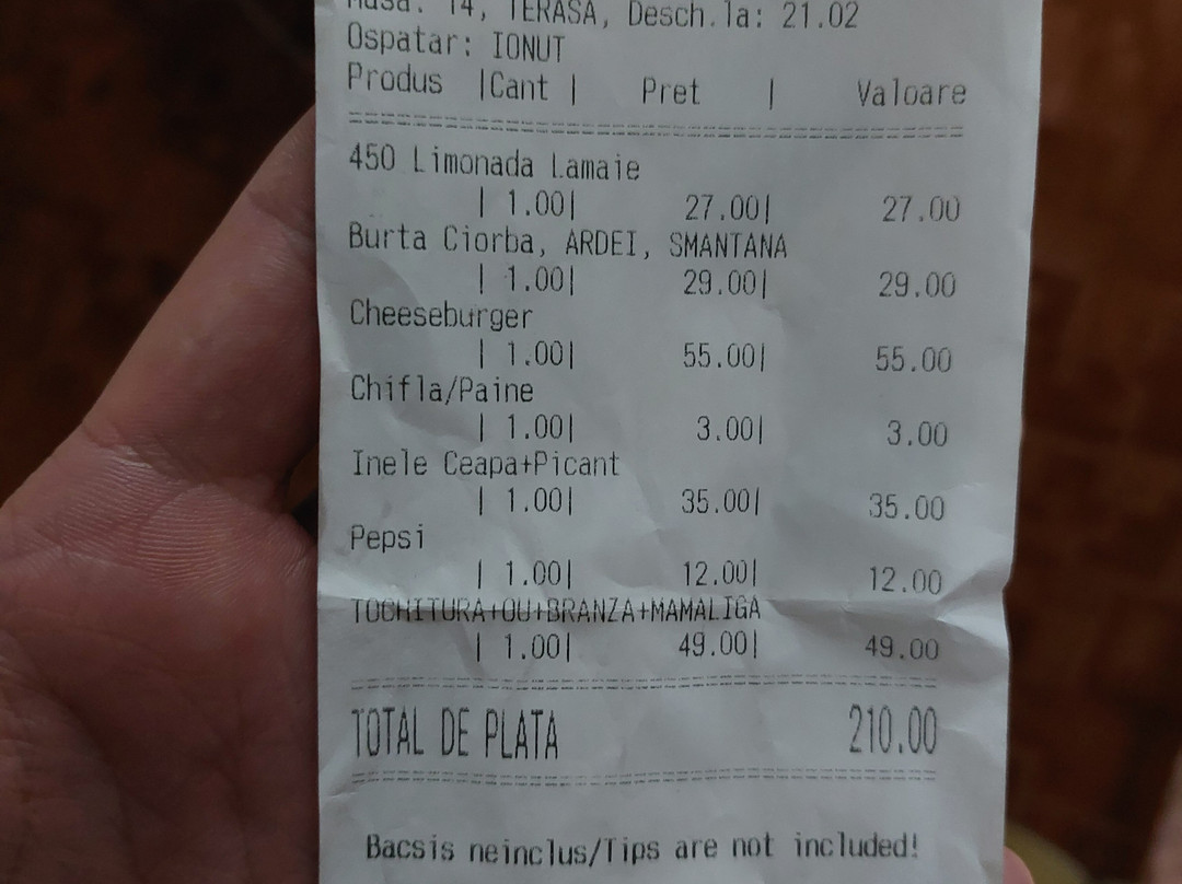 Pensiunea Elemar