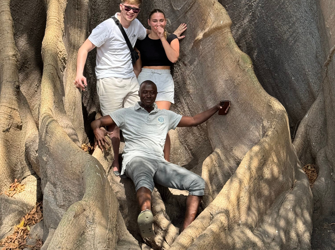 Gambia Taxi & Excursions景点图片