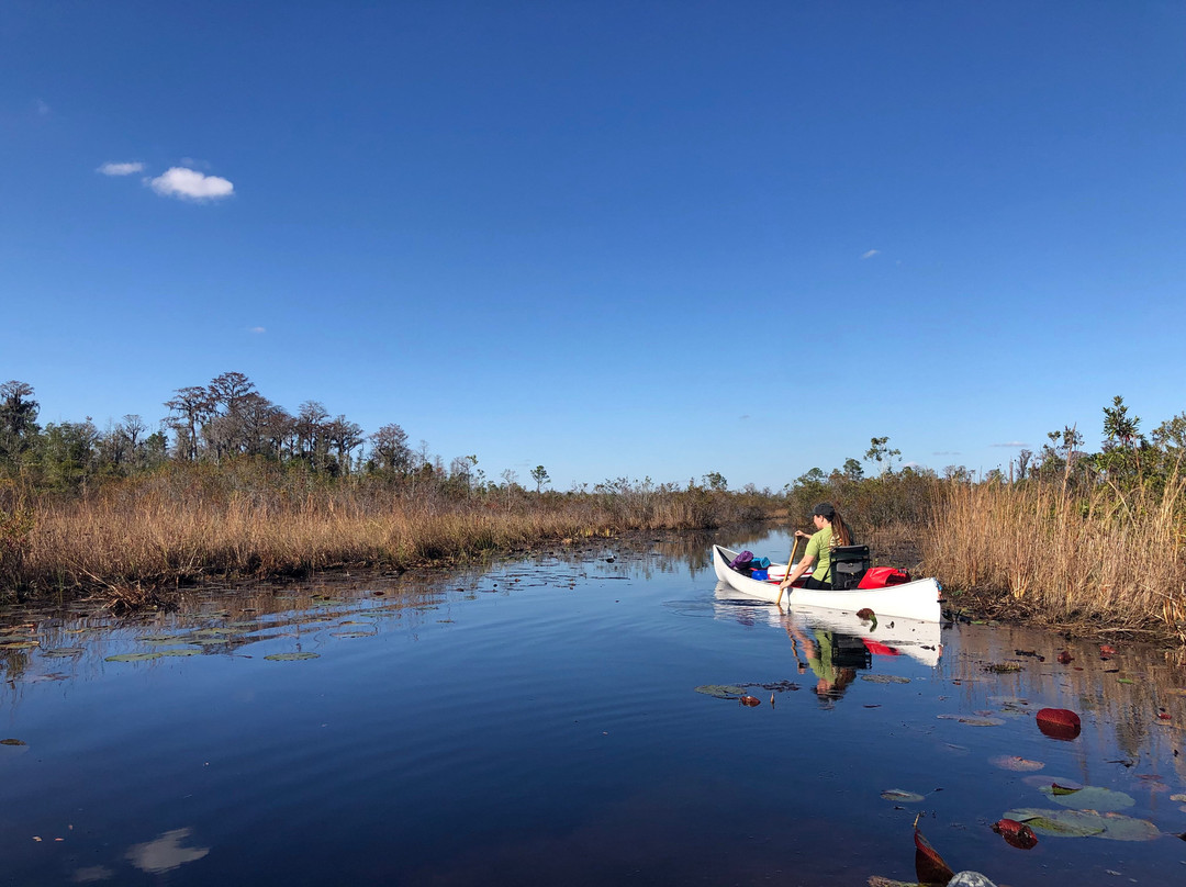 Okefenokee & Satilla Expeditions LLC-Folkston必去景点