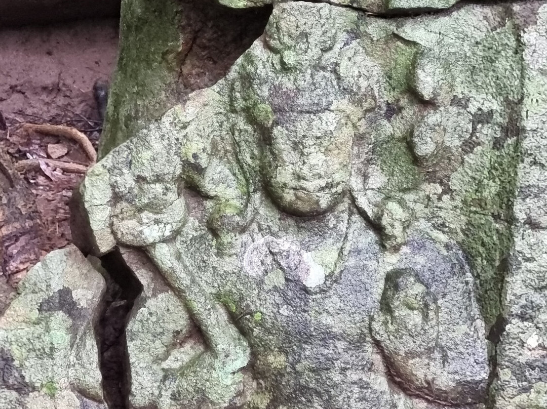 Kaludiya Pokuna景点图片