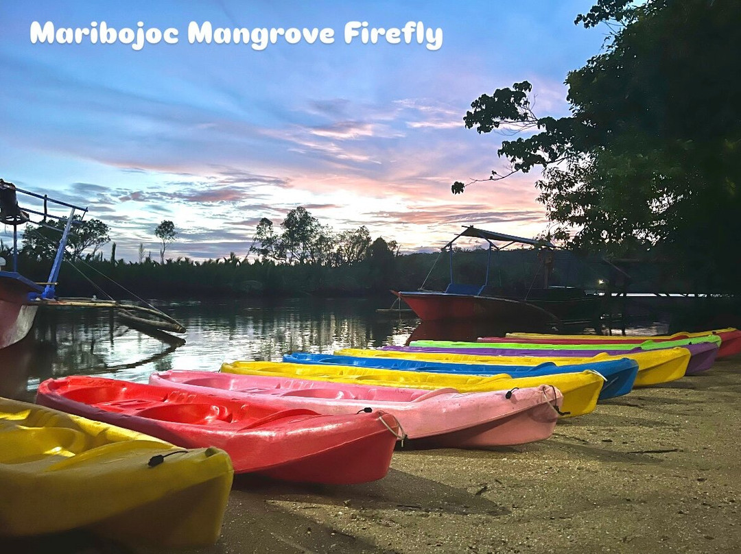 Maribojoc Mangrove Firefly Watching