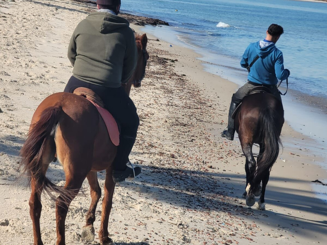 Barka Equestrian Center-摩纳斯特必去景点