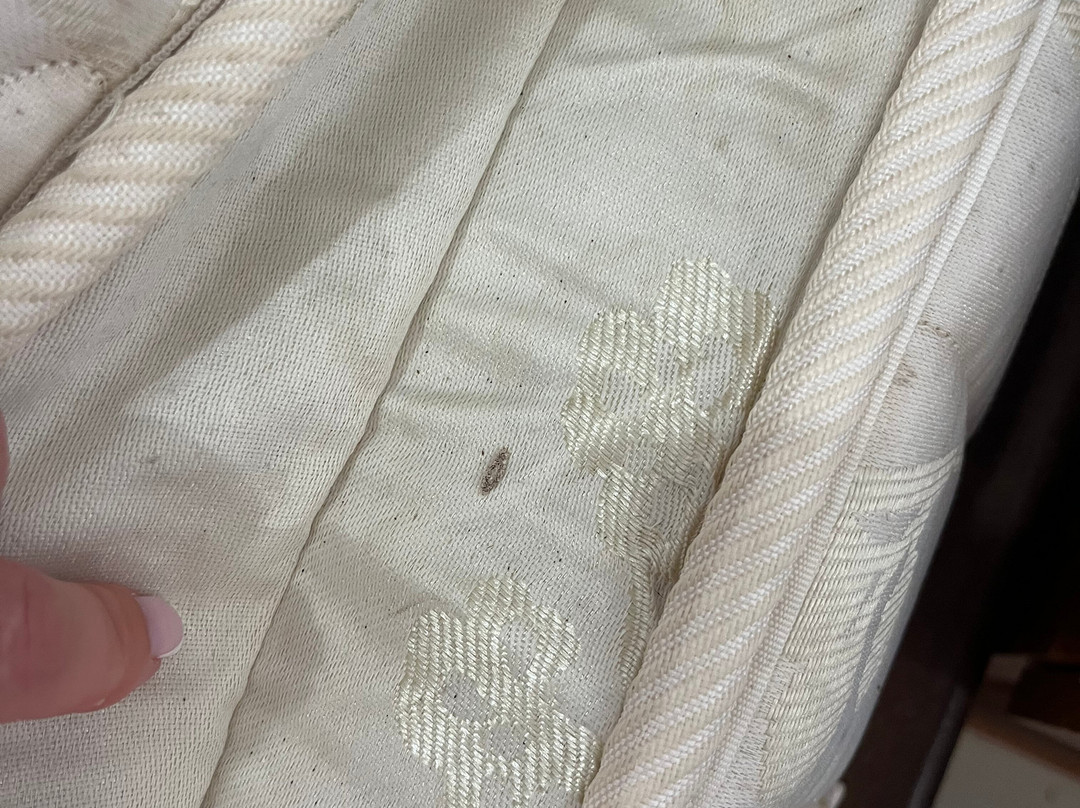 Mac's Bay Resort主图