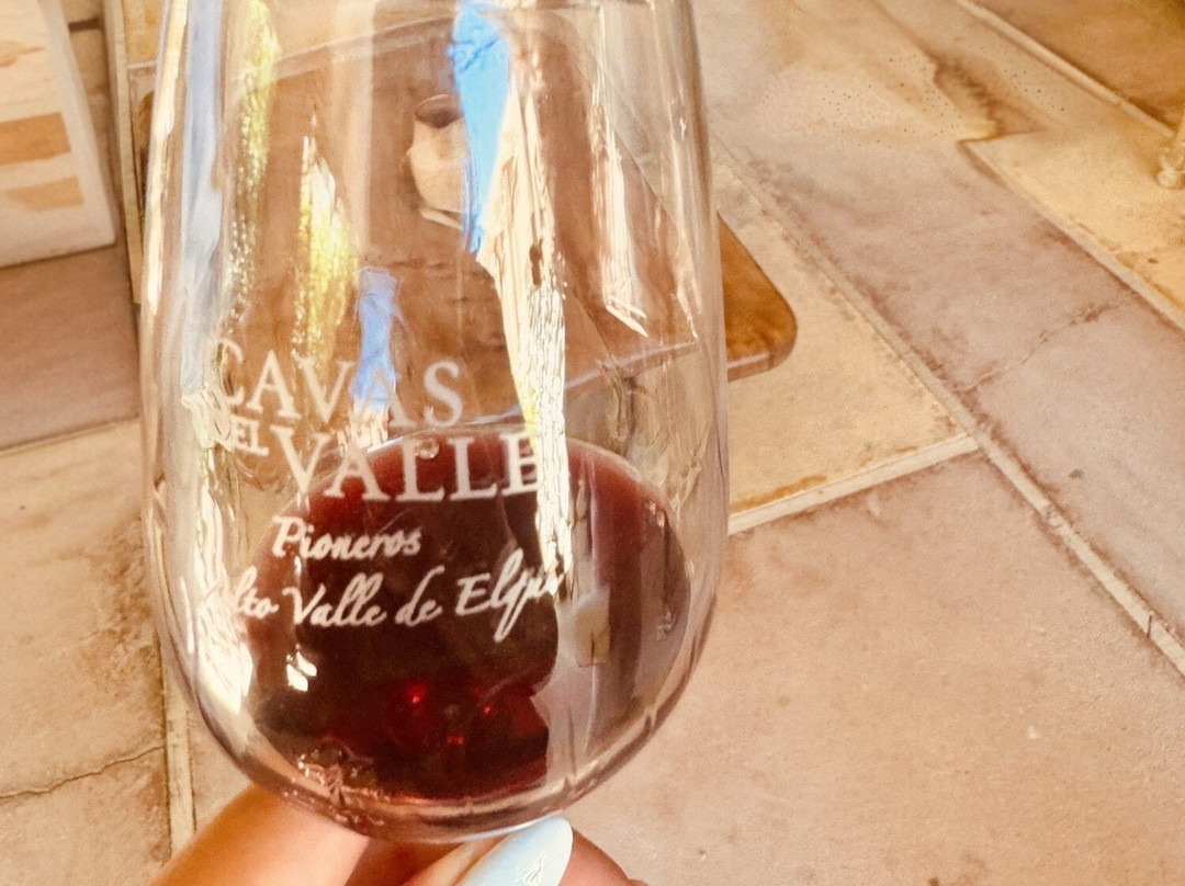 Turismo Migrantes-Pisco Elqui必去景点