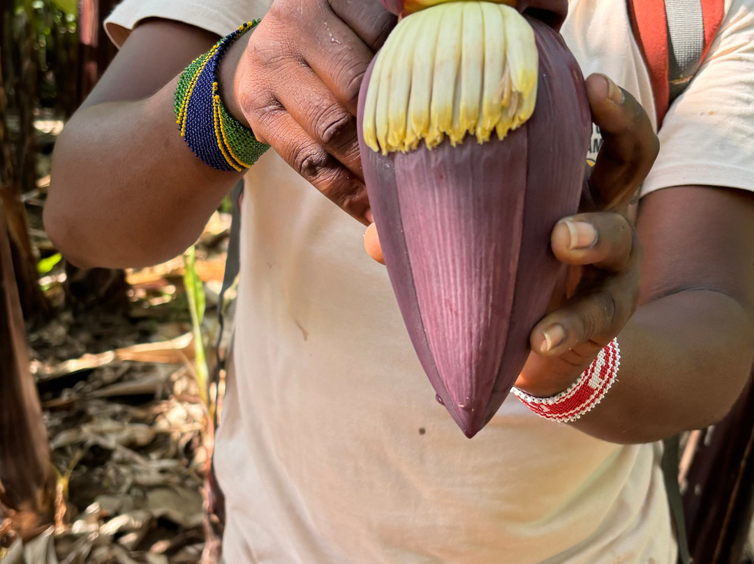 Mto Wa Mbu Cultural Tourism Enterprises-Mto wa Mbu必去景点