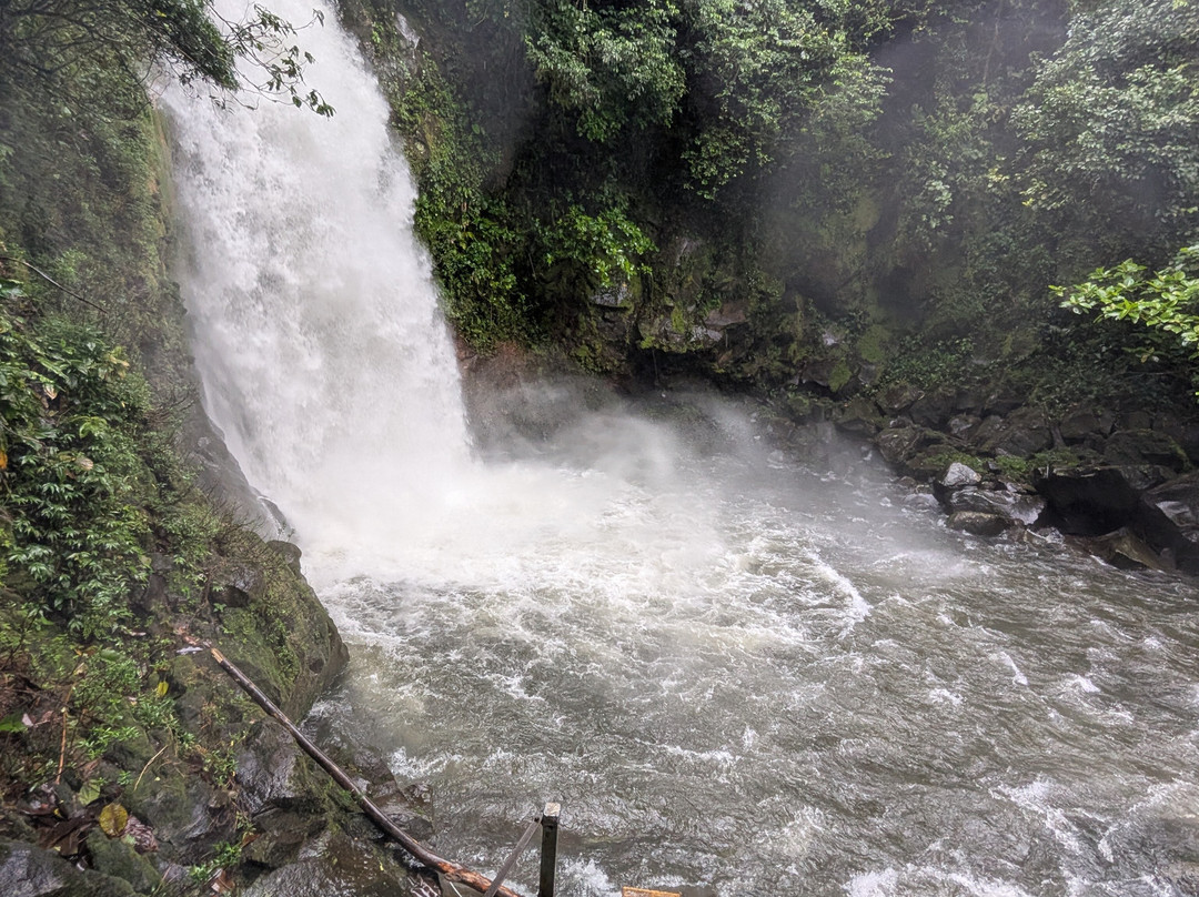 Maquengue Falls Natural Resort主图