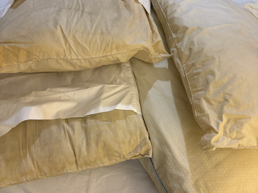 Countryside Inn & Suites主图