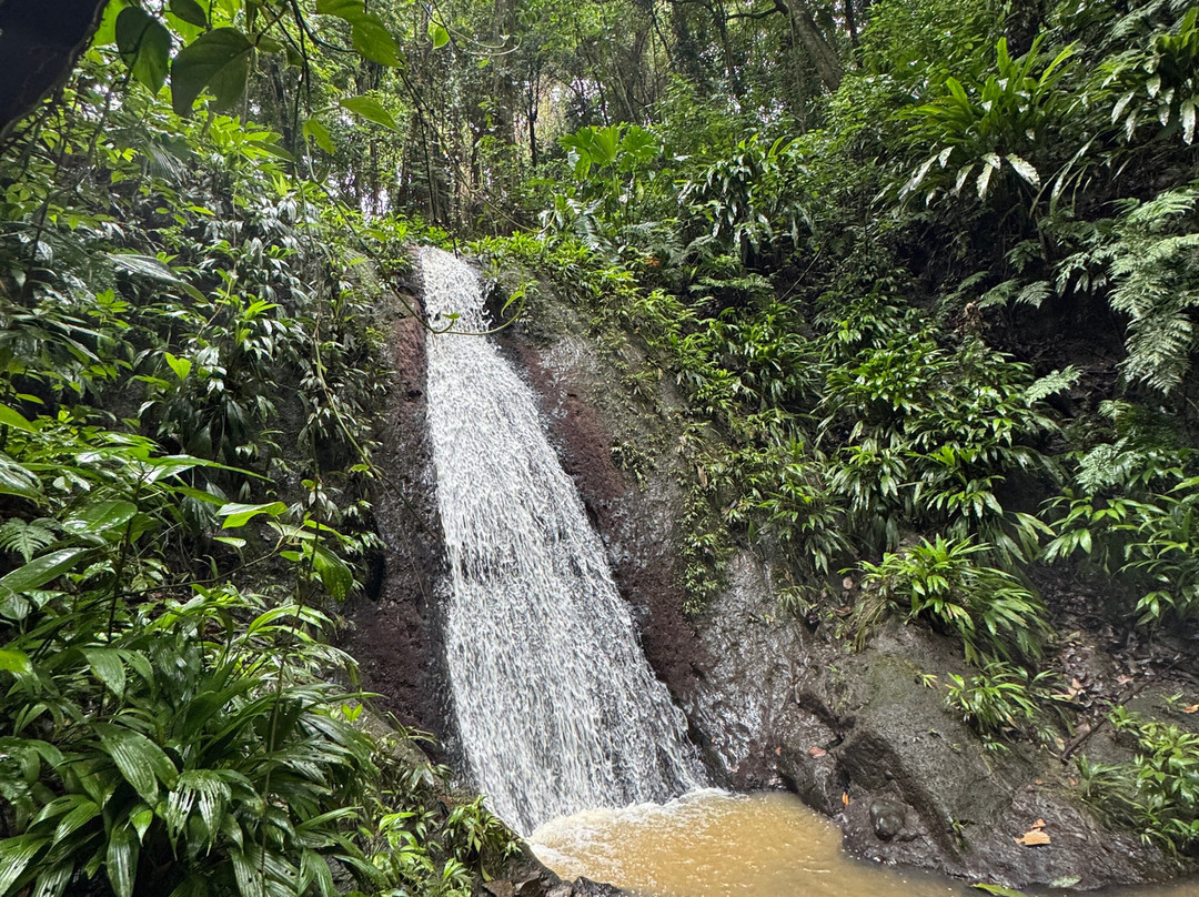 La Tierra Del Encanto-Isla Bastimentos必去景点