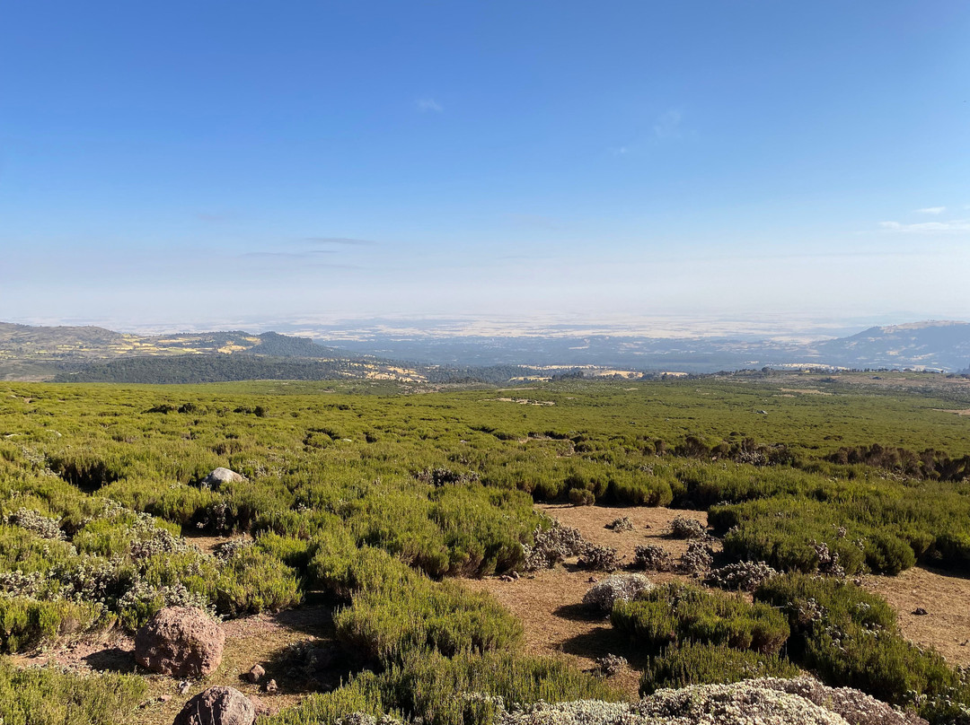 Bale Mountains Tours景点图片