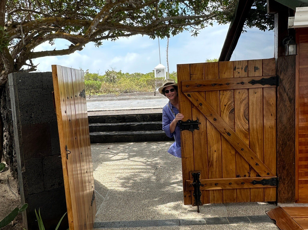 The Wooden House Lodge主图