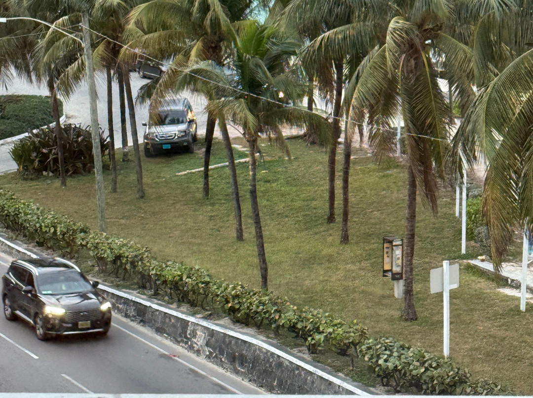 Courtyard by Marriott Nassau Downtown/Junkanoo Beach主图