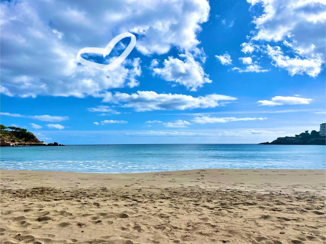 Lilypod Yoga景点图片