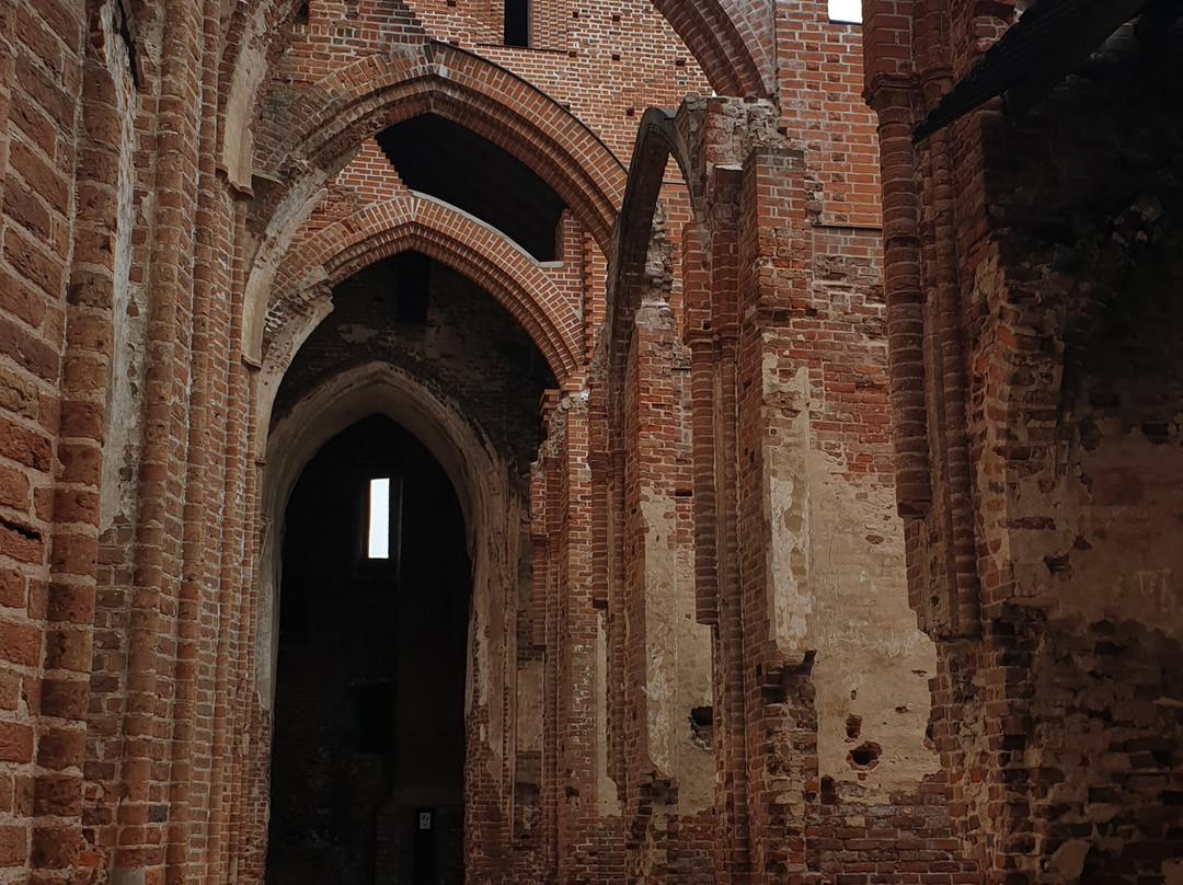 Tartu Cathedral-塔尔图必去景点
