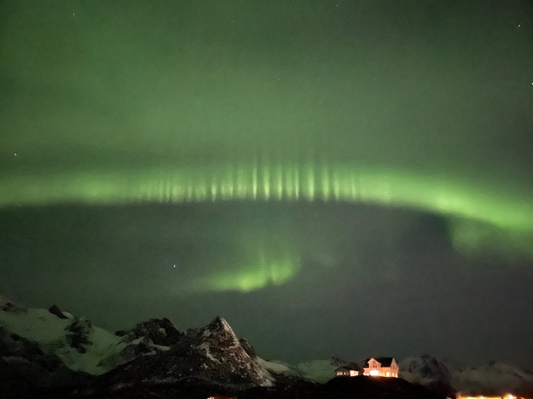 Lofoten Aktiv景点图片